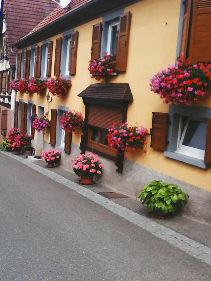 RomanswillerRelais De La Diligenceアパートメント エクステリア 写真